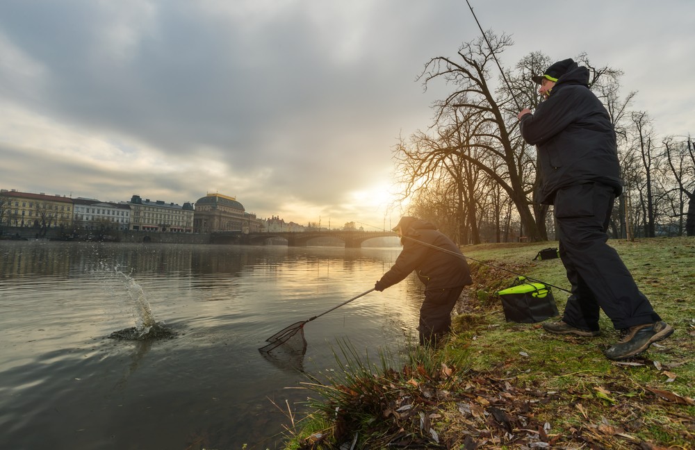 Czech Republic Spent Almost CZK 1 Billion to Support the Fishing Industry With No Results