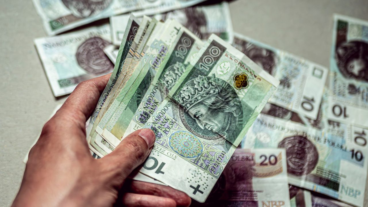 Motorist&eacute; and SPD want the koruna written into Czech constitution